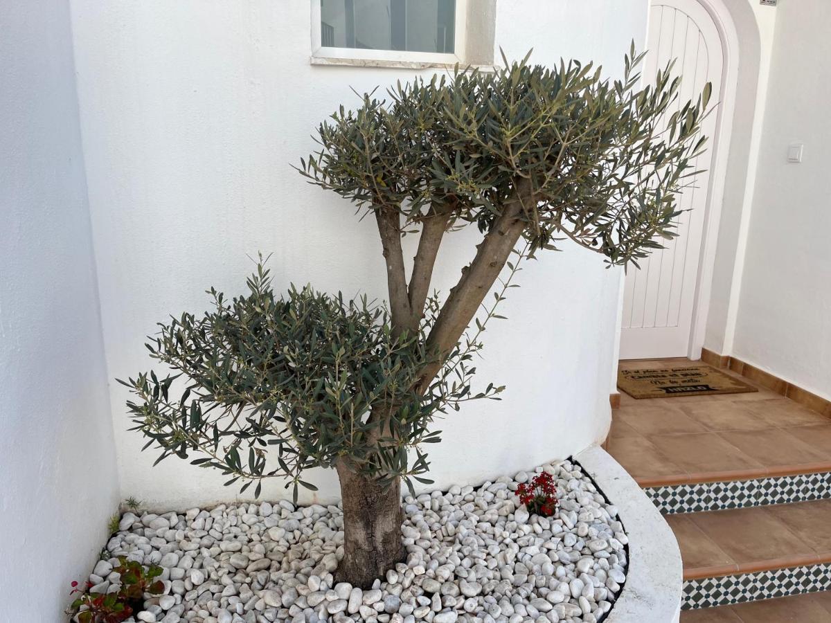 Casa Del Olivo Βίλα Almuñécar Εξωτερικό φωτογραφία